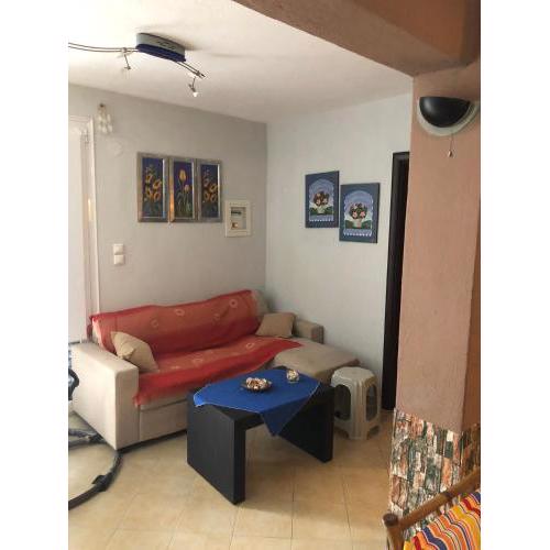 Andres house