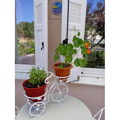 Andros Lighthouse Apartments