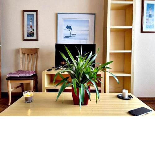 Anduriña, Céntrico Con Ambiente pet-friendly