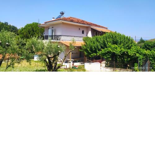 Anesis Home.