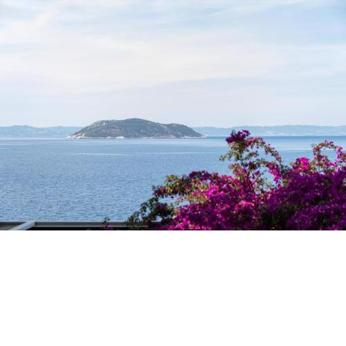 Anesis Seaview apartment 1