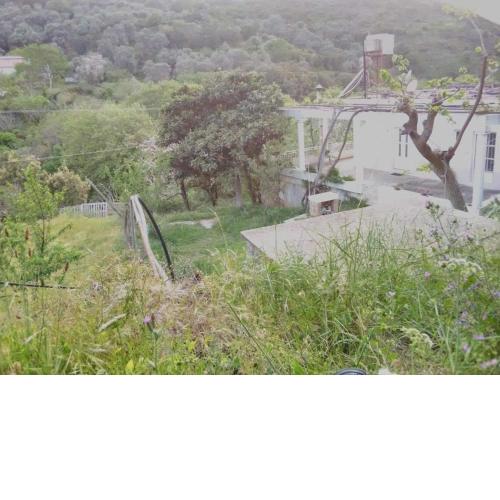 Angel Villa