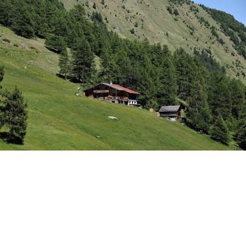 Angstingeralm