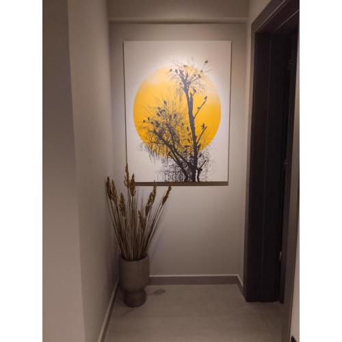 Animus Premium apt
