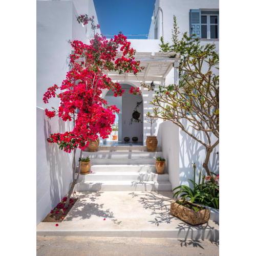 Anita Rooms & Apartments