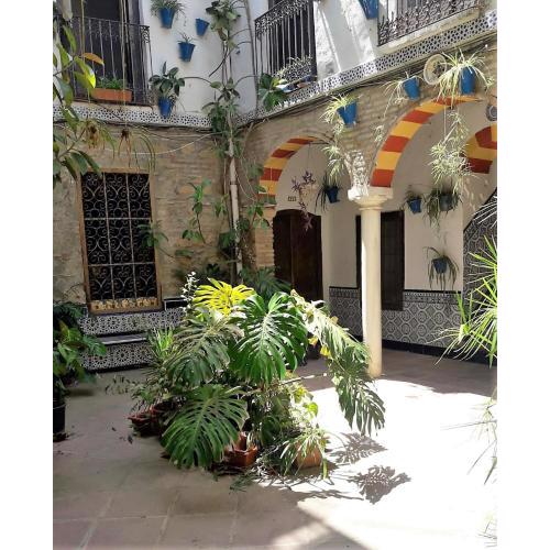 AP Abderraman I Cordoba