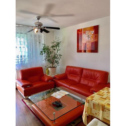 Apartament Arboria