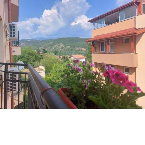 Apartament Emi