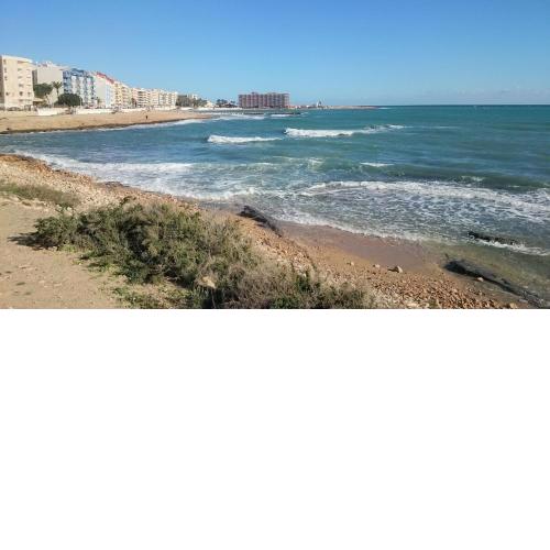 Apartamento 2 habitaciones Torrevieja playa