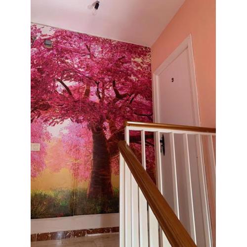Apartamento Admiral