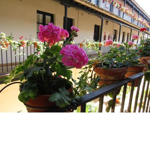 Apartamento Alameda