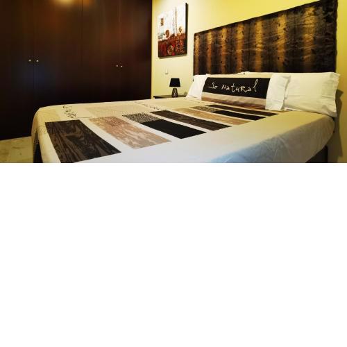 APARTAMENTO ALES II