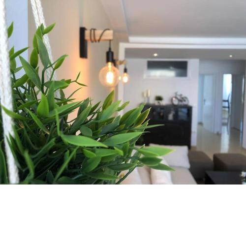 Apartamento amplio y céntrico