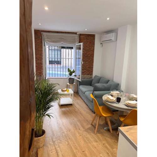 Apartamento Atocha/Reina Sofía