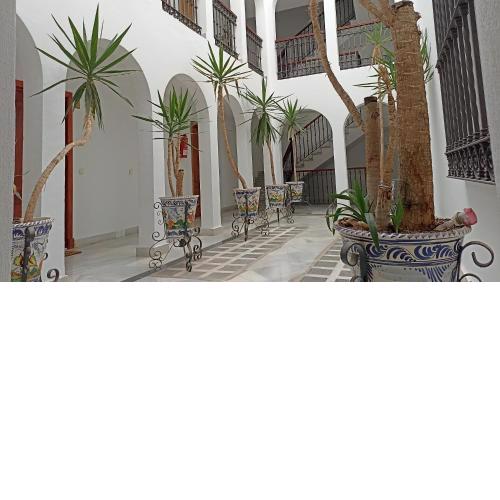 Apartamento Catamarán