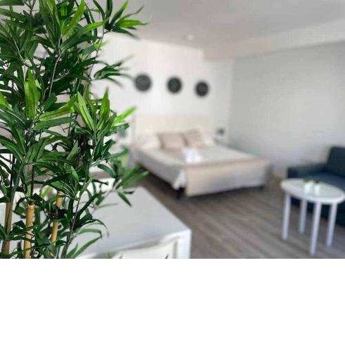 Apartamento centrico 3pax - Plaza Molviedro