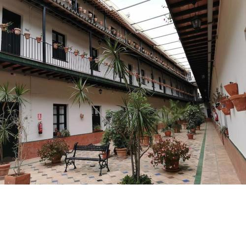 Apartamento con encanto en patio sevillano (204)