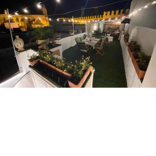 Apartamento con Terraza,a 100m playa Costilla y Frente al Castillo
