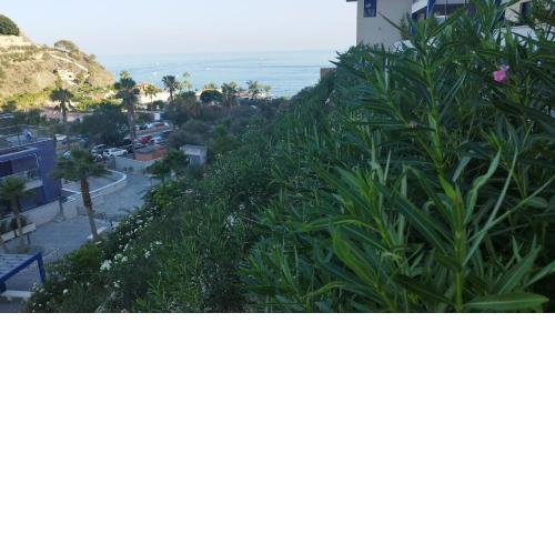 Apartamento con vistas de ensueño