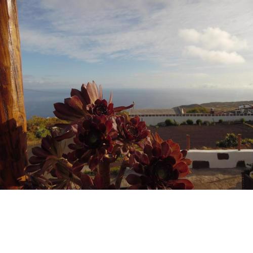 Apartamento con vistas (La Casita de Luísa)