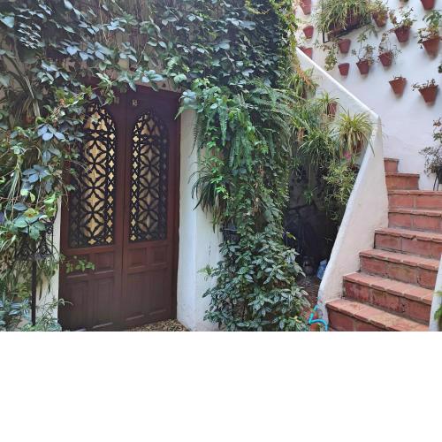 Apartamento Dama de Noche