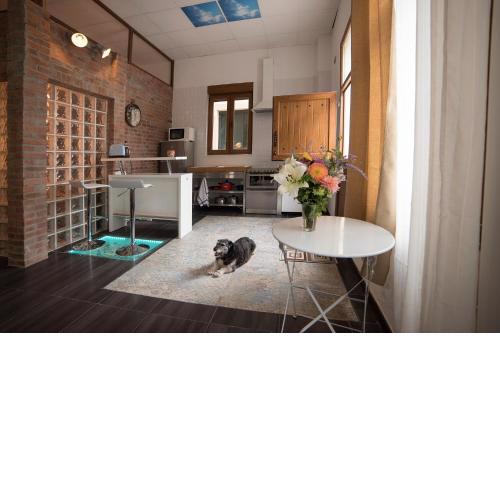 Apartamento de lujo en Gijòn
