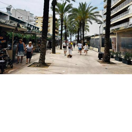 APARTAMENTO EUCALIPTUS BEACH 50 m PLAYA