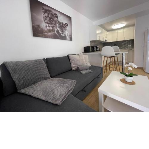 Apartamento Gustamar 13