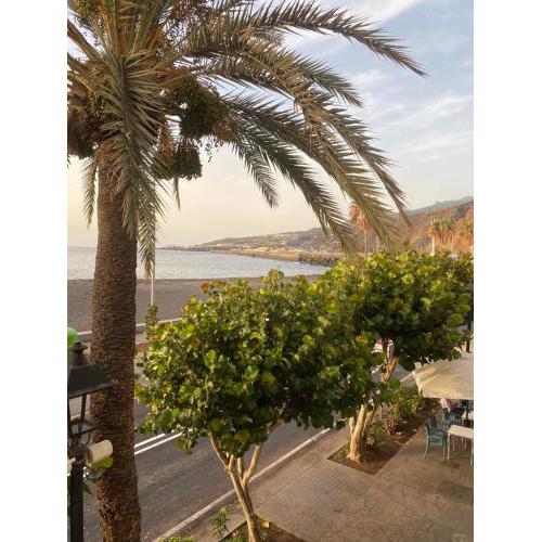 Apartamento La Pepa - Santa Cruz de La Palma