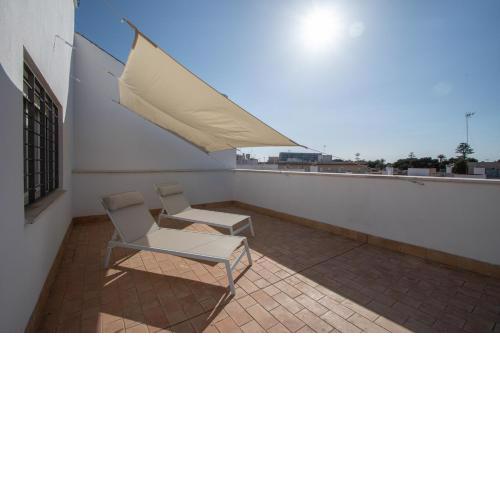 Apartamento La Terraza de la Araucaria - Cadiz