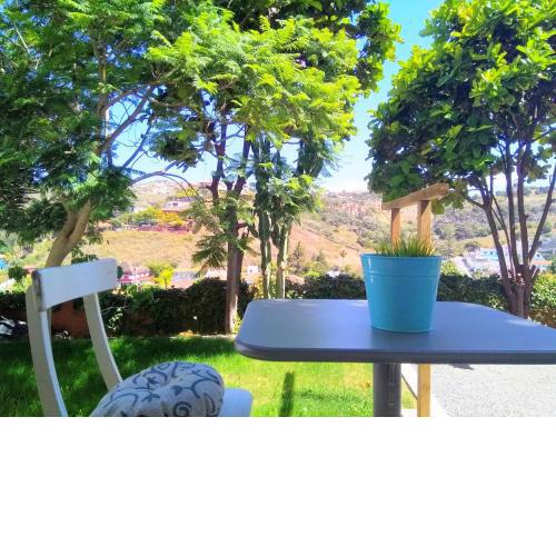 APARTAMENTO LEMMON TREE