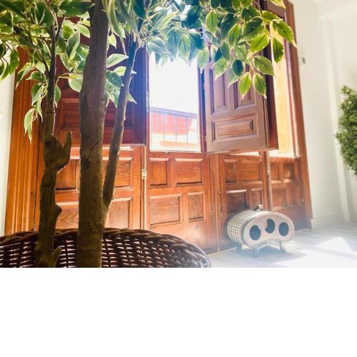 Apartamento Musalla