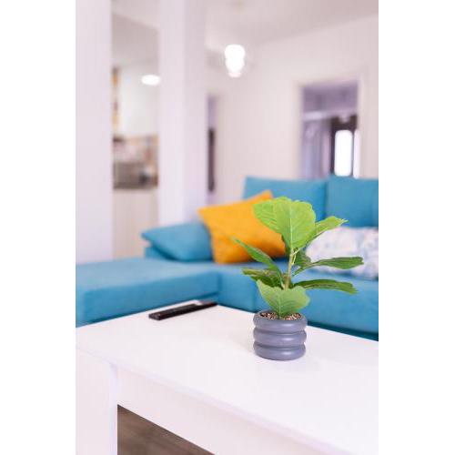 Apartamento Patio Real Bellavista