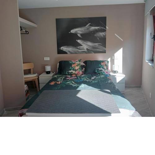 Apartamento Pipo