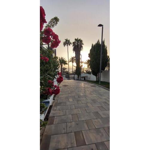 Apartamento Playa Las Americas
