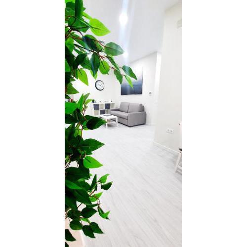 Apartamento Plaza Calzada 1