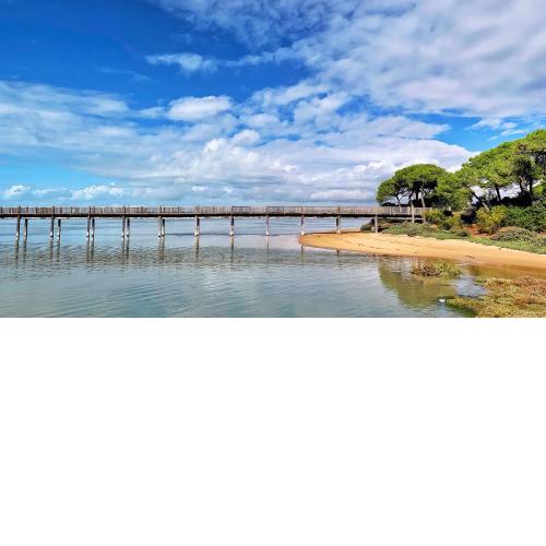 Apartamento Rio San Pedro