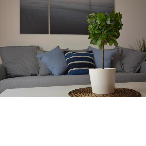 Apartamento Salitre