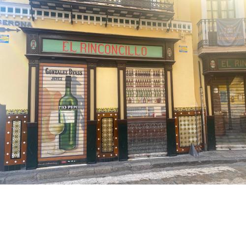 Apartamento SD Gerona Centro Santa Catalina