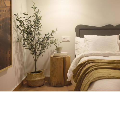 Apartamento Tarazona Centro