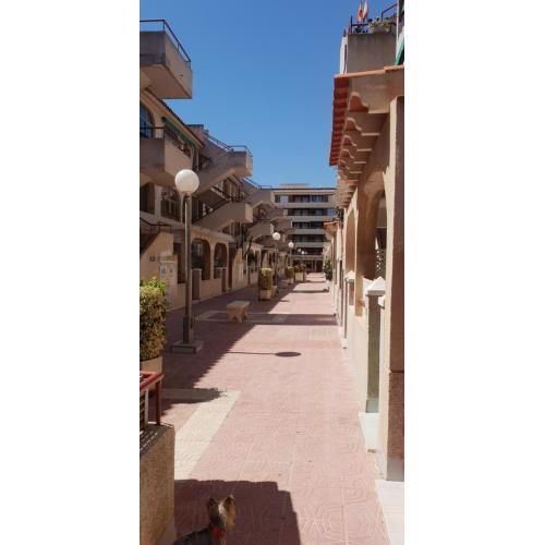 Apartamento Torrevieja