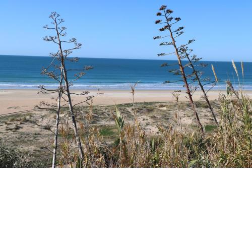Apartamento Velarde III