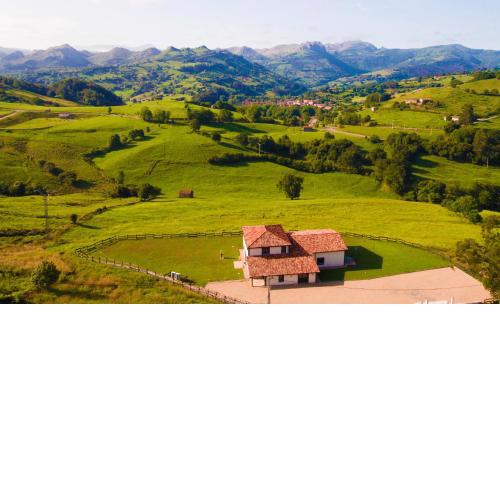 Apartamentos Alto Ubiro