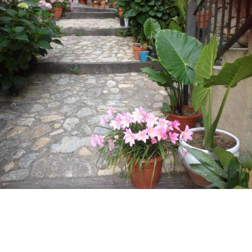 Apartamentos Anateresa