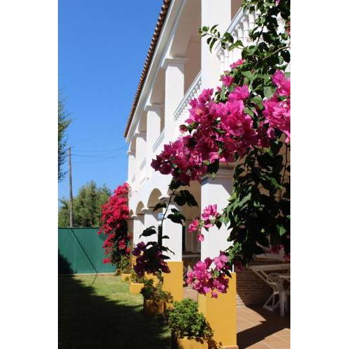 Apartamentos Bolonia Paraiso