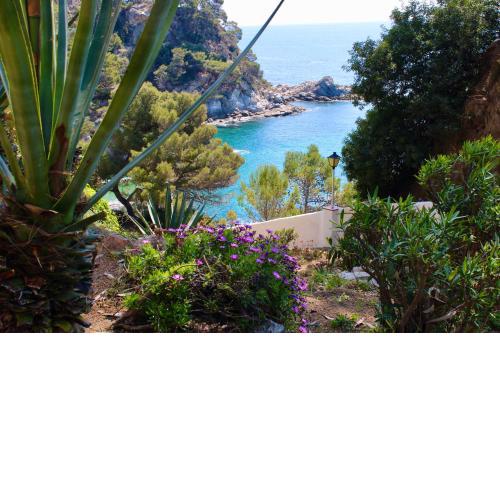 Apartamentos Cala Llevado