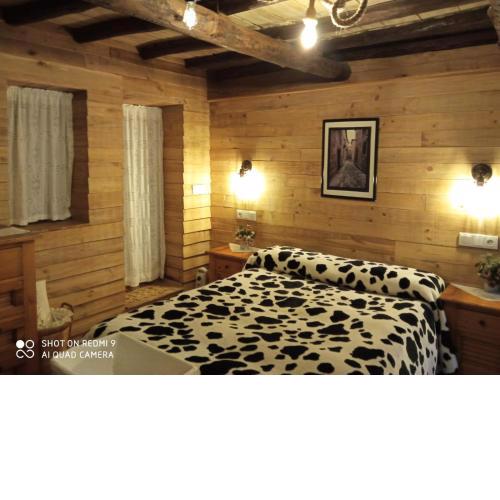 Apartamentos Caleros