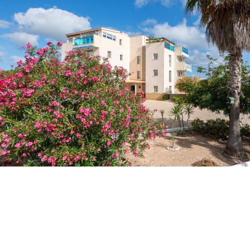 Apartamentos Catalina