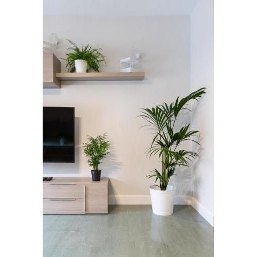 Apartamentos Circulo De Artistas