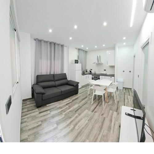 APARTAMENTOS DESAMPARADOS